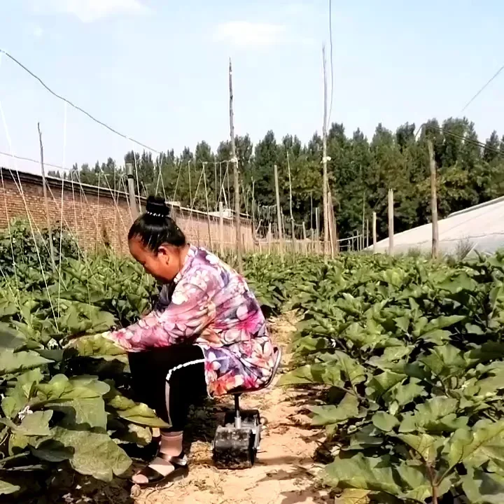 360 Degree Greenhouse Lazy Ben - Agriculture Farming Degree recension och pris
